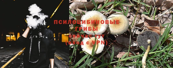 дживик Абаза