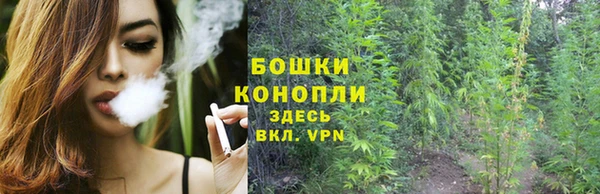 дживик Абаза
